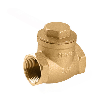 Klapka zpětný ventil 1 1/2" Perfexim 04-021-0400-000