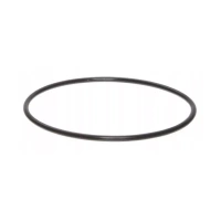 Těsnění pro tělo EMI 10" USTM ORING80X3