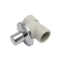 20 mm