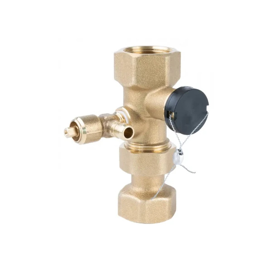 ASK rychlospojka, pro expanzní nádobu, s revizním ventilem, 2x GW G1" AFRISO 77934